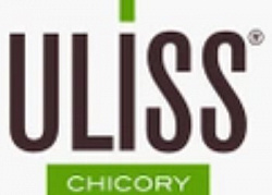 Uliss Chicory